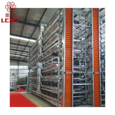 Automatic quail feeding equipment