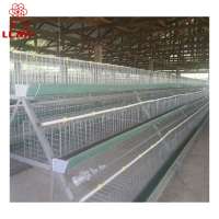 breeder/broiler/chicken automatic cage feeding system of poultry equipment