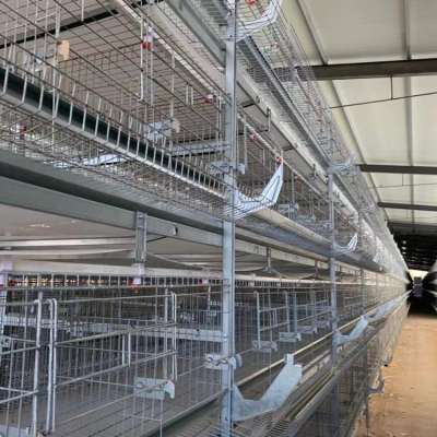 Uganda poultry farm automatic chicken H type battery layer cage for sale