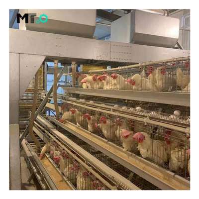 Good Price Automatic Egg Layer Chicken Farm Laying Hens Poultry Battery Cages for Sale