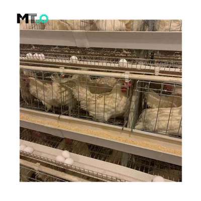 A Type 3 Tiers 4 Tiers Layer Chicken Battery Cage In Poultry Farm Hot Sale in Nigeria Kenya Zambia Uganda Tanzania