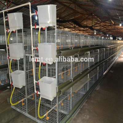 H type automatic meat broiler chicken cages with hot dip Galvanized cheap price used chicken cages for sale