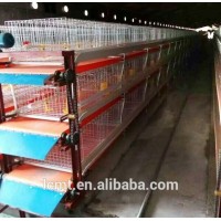 The conveyor belt meat chicken cage price for automatic equipment