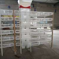 China shandong plastic quail cage equipment factory