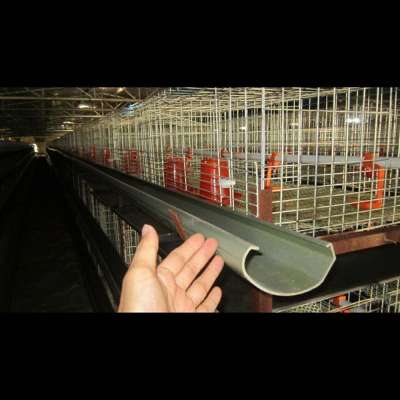 automatic poultry cage design for layer chicken farm