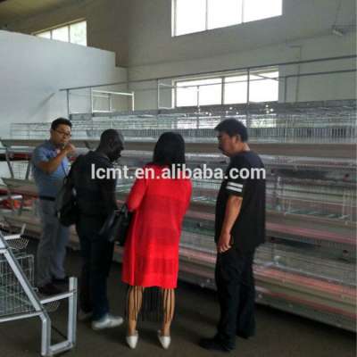 wholesale cheap price chicken breeding cages for sale