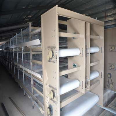 Broiler chicken cage and laying battery hens cage poultry farming equipment