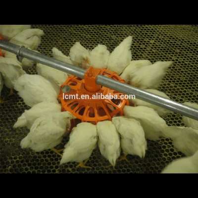 Traditional raising chicken/poultry floor feeding system