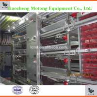 Design Pakistan Poultry Farm Equipment Chicken Cage/Automatic Layer Cage/Poultry chicken cage for your farm