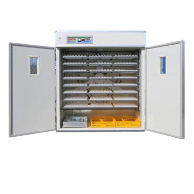 Waimaotong China supplier Chicken,Reptile,Bird,Emu,Ostrich,Duck Usage Egg Incubator and egg Hatcher (Manufacturer)