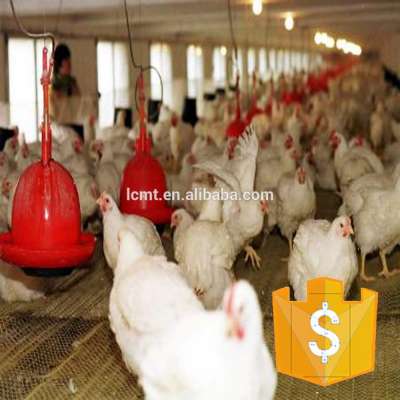 China poultry automatic feeder and drinker