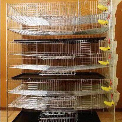 welded wire mesh quail cage Type and Bird Use Quail battery cages for sale