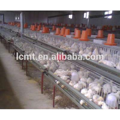 layer poultry farm chicken raising equipment