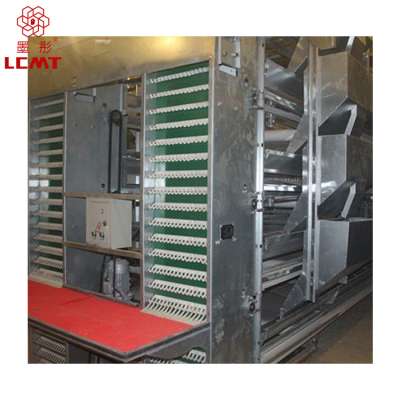 Chicken cages poultry layer cage for UAE chicken farm for sale