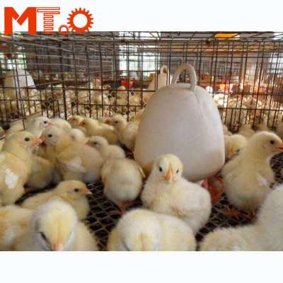 large-scale automatic poultry farm design /chicken farm project poultry farming equipment for sale