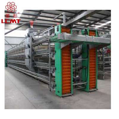 Automatic quail cages for sale in Asia countries